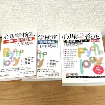 심리학 검정 일문일답 문제집 A 영역편 B 영역편 기본 키워드