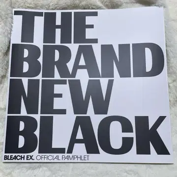 BLEACH 원화전 도서