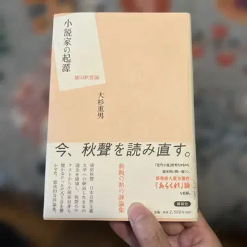 소설가의 기원 도쿠다 슈세이론