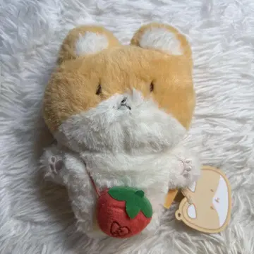 백현 트레기 봉제 인형 20cm