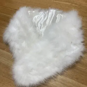 성인식