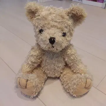 TeddyBear 베이지 곰 모양 봉제 인형