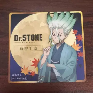 Dr.STONE 이시가미 센쿠 마네키네코