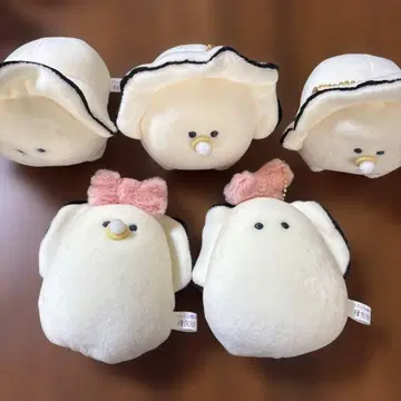 즉시 구매 동그란 눈 생굴 5개 세트