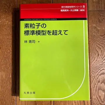 소립자의 표준 모형을 넘어서
