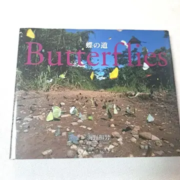 나비의 길 Butterflies