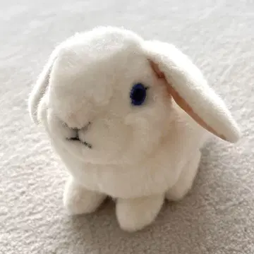 KOSEN 센 늘어진 귀 토끼 아이 화이트