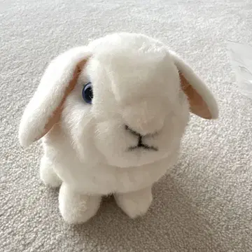 KOSEN 센 늘어진 귀 토끼 아이 화이트