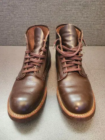 레드윙 8161 7 1/2D