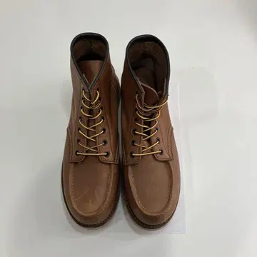 호킨스 HL40010 아이리쉬 세터