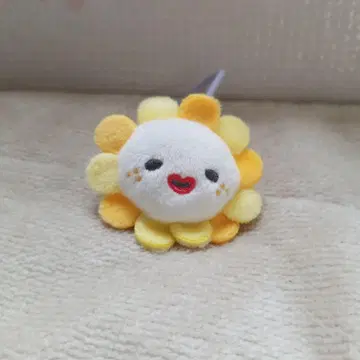 JOCHUM 제오참 머리끈 비라