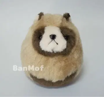 반바파에리아 동심 BanMof 봉제 인형 너구리