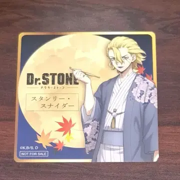 Dr.STONE 스탠리 스나이더 마네키네코