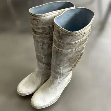 얼룩진 화이트의 자쿠스