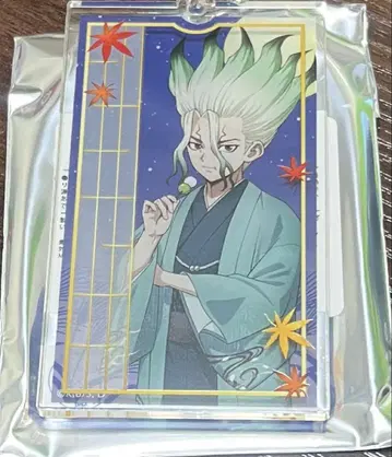 Dr.STONE 마네키네코 이시가미 센쿠 1세트