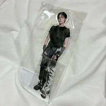 straykids 아이엔 GIANT 아크릴 스탠드