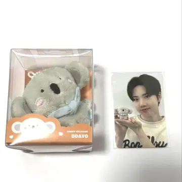 FUNNY TREASURE 준규 DDAYO (트레이딩 카드 포함)