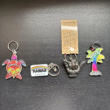 Hawaii 하와이 키링 세트 (개별 판매 가능)