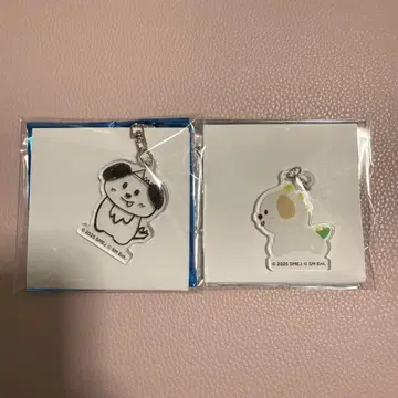 riize 카페 아크릴 키링 스트로우 참 앤톤