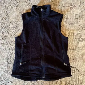 Patagonia Synchilla 베스트 M 블랙