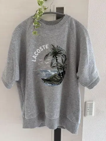 LACOSTE 반팔 트레이닝복 38 사이즈