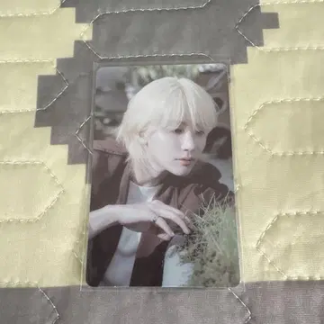 SEVENTEEN 세부치 정한 소비기한 Weverse global