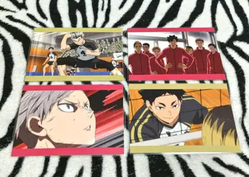 하이큐!! 육VS공 엽서 4종 세트 라미네이티드 낱개 판매