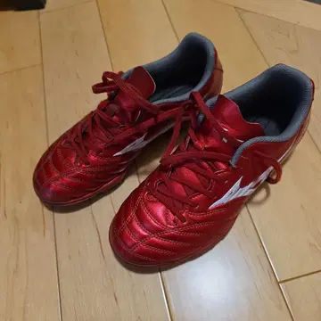 [ 가격 인하 가능 ] MONARCIDA NEO III SELECTJr