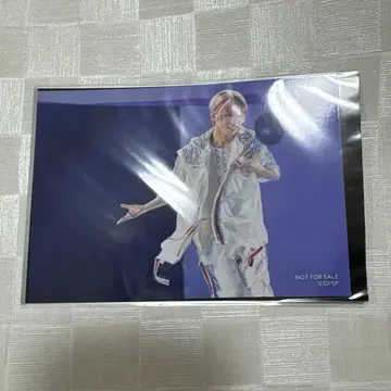 보쿠프리 브로마이드 타무라 쇼고 호시카와 라쿠 큐어탑