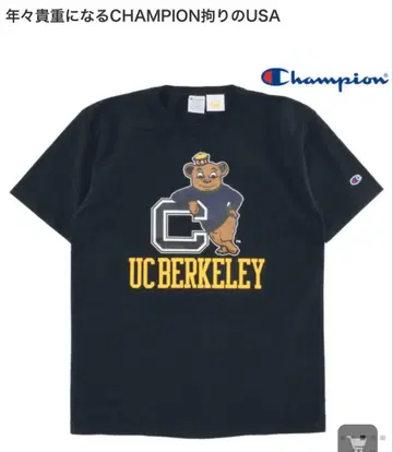 [ CHAMPION ] T셔츠 UC BERKELEY (Navy)