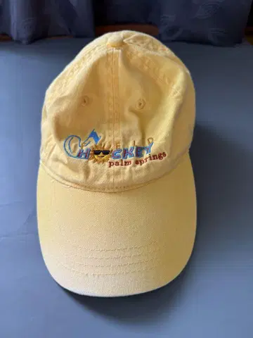 hockey palm springs cap 미국 캡