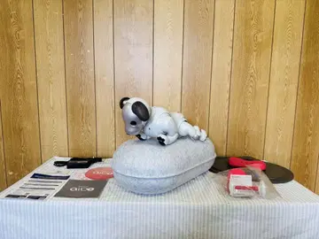 SONY 소니 아이보 AIBO ERS-1000