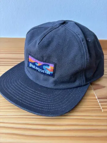 Patagonia 그레이 캡