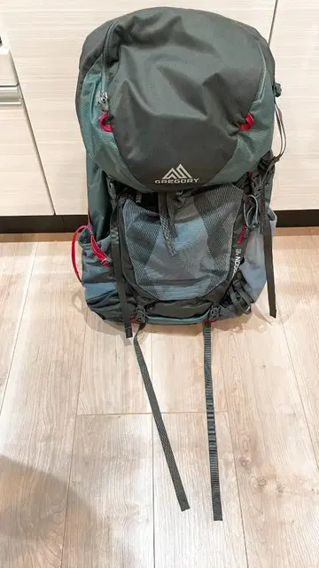 GREGORY 백팩 paragpn 48