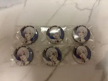 FGO fes2025 아나스타샤 캔뱃지