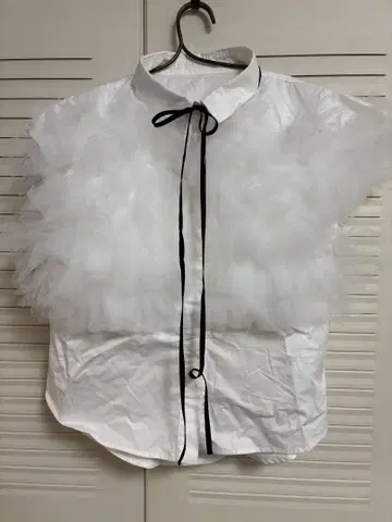 스완 블라우스