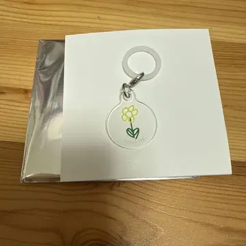 시뉴 메지루시 참