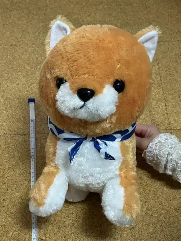 시바견 봉제 인형 약 30cm 파란 리본 포함 콩 시바 세 형제