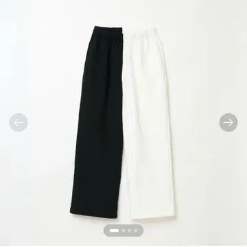 THE SHISHIKUI SWP / NV x WH
