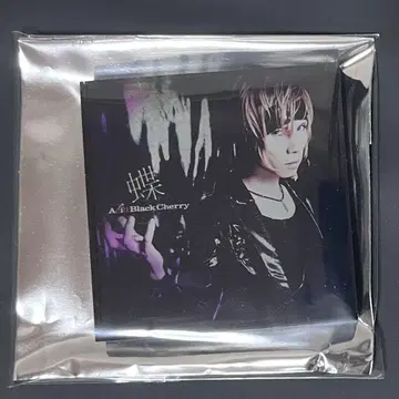 Acid Black Cherry 아크릴 마그넷 나비