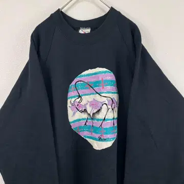 USA제 90s fruit of the loom 네이티브 무늬 맨투맨