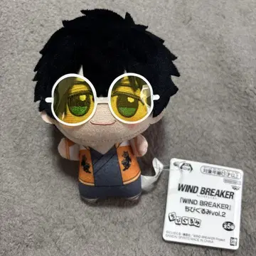 WIND BREAKER 윈브레 토카게 조 SD 인형