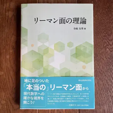 리만면의 이론