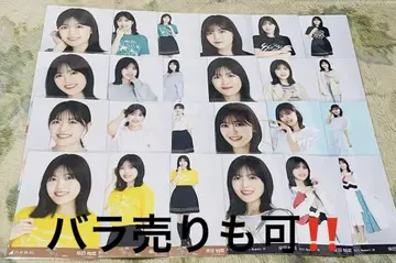 노기자카46 시바타 유나 브로마이드 컴프
