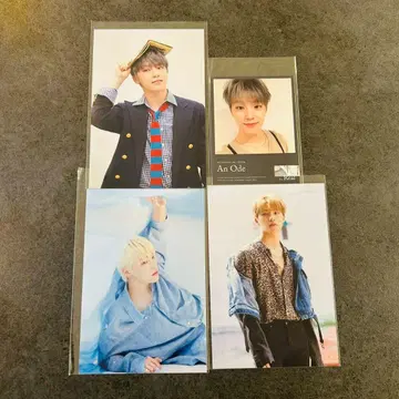 seventeen 컨셉 존 디노