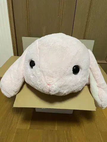 포테우사 롯삐 미미 P P 봉제 인형 대