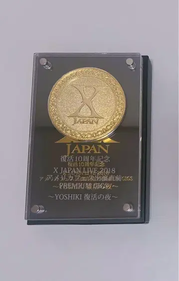 X JAPAN YOSHIKI 부활의 밤
