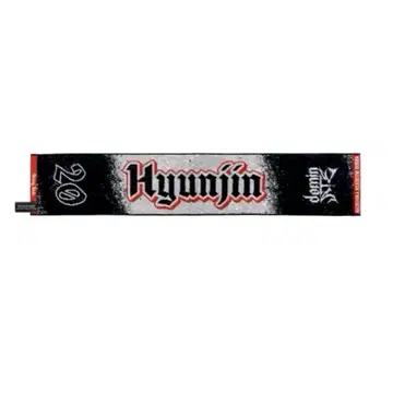 straykids 스키즈 현진 타월 에코파