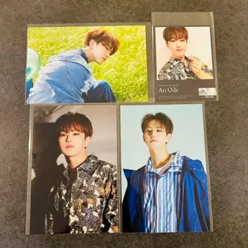 세븐틴 컨셉 존 호시