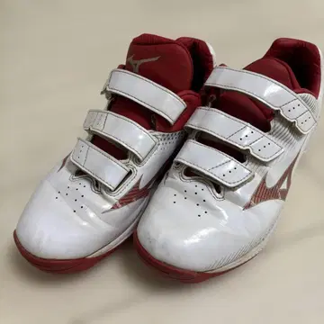 미즈노 24.5cm 트레이닝화 업슈즈